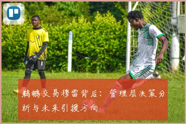 鹈鹕交易穆雷背后：管理层决策分析与未来引援方向