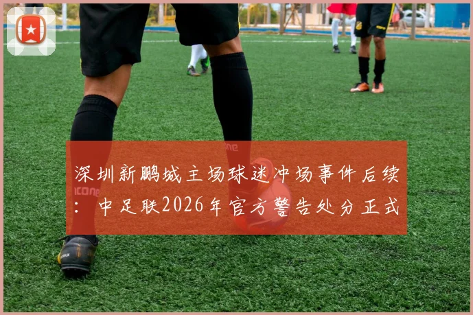 深圳新鹏城主场球迷冲场事件后续：中足联2026年官方警告处分正式公布，赛区秩序管理引热议