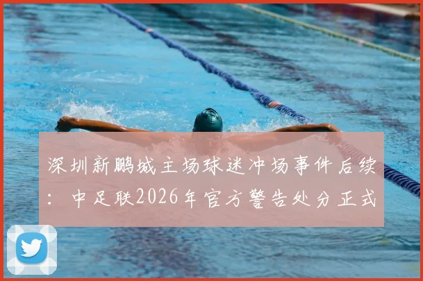 深圳新鹏城主场球迷冲场事件后续:中足联2026年官方警告处分正式公布,赛区秩序管理引热议