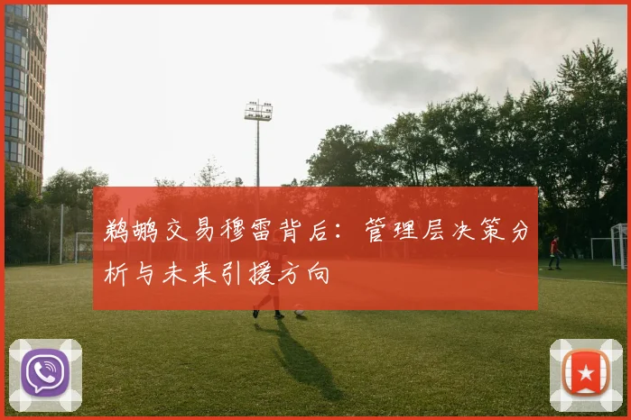 鹈鹕交易穆雷背后:管理层决策分析与未来引援方向