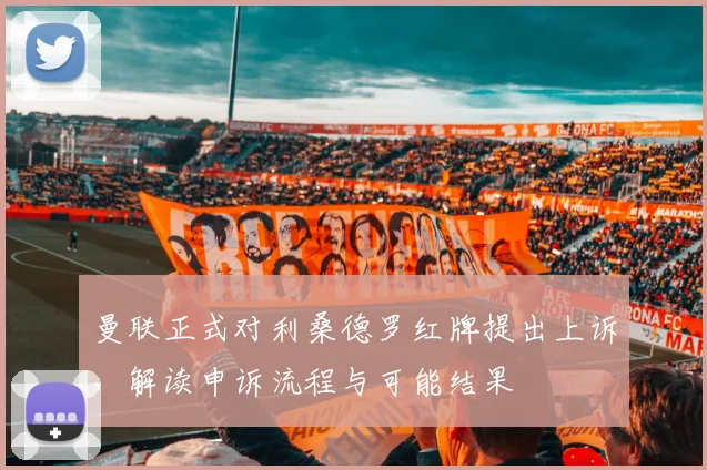 曼联正式对利桑德罗红牌提出上诉,解读申诉流程与可能结果